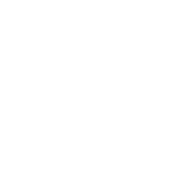 Blue Moon Brewing Company logo