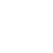 Sierra Nevada logo